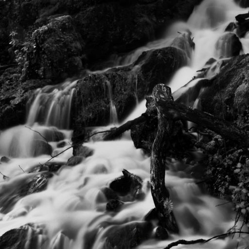 black and white burrator rossbeech photography